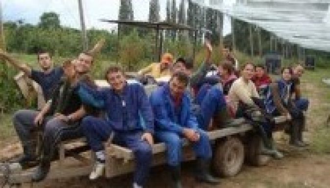 A toryk nem tudnak belenyugodni a román bevándorlók érkezésébe