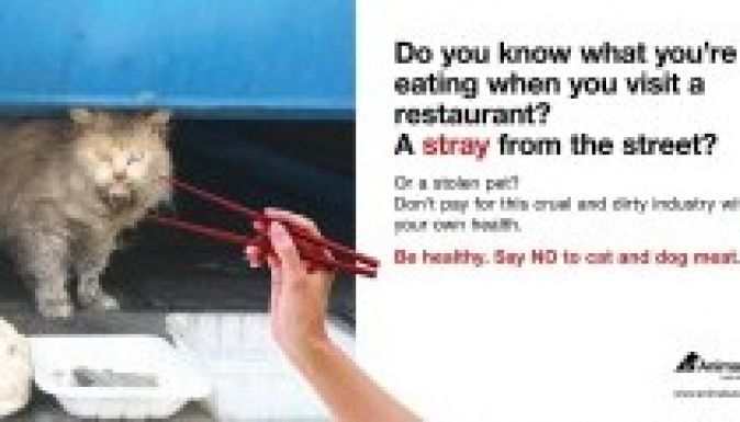 Óriásplakátokkal harcolnak a kutya- és macskaevés ellen