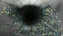 Szentivánéji álmot mutat be a Figura