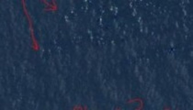 Courtney Love azt állítja, hogy megtalálta az eltűnt maláj gépet