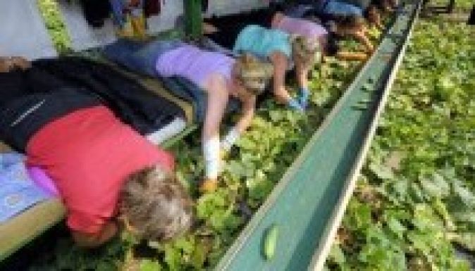 A német kormány bevándorlási szigorításokra készül