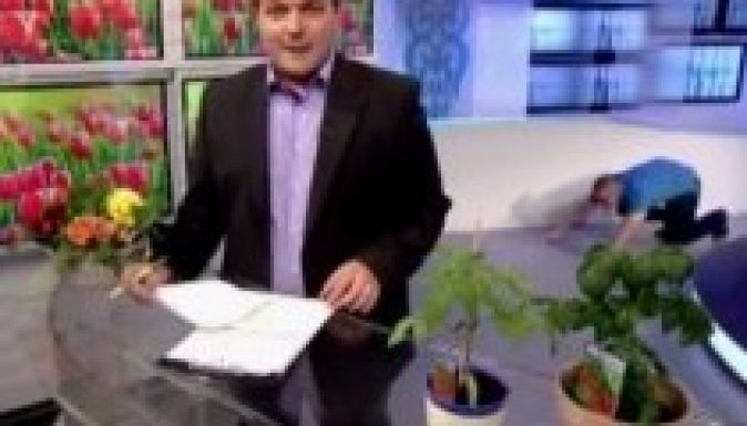 Kínos baki csúszott a Duna TV műsorába