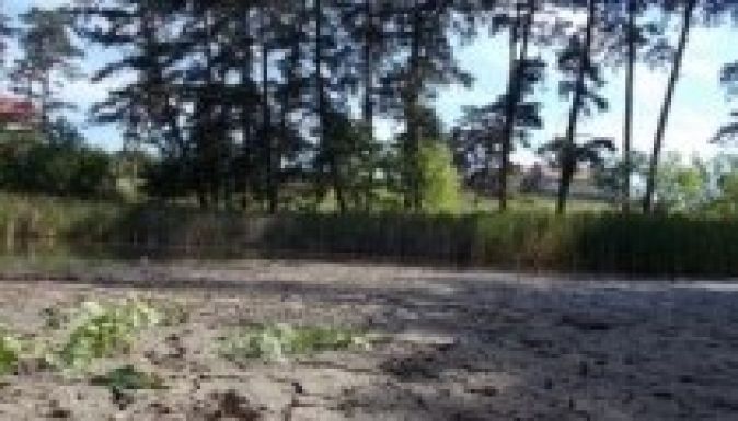 Eltűnt az Európában egyedülálló hévízi tündérrózsa Püspökfürdőről