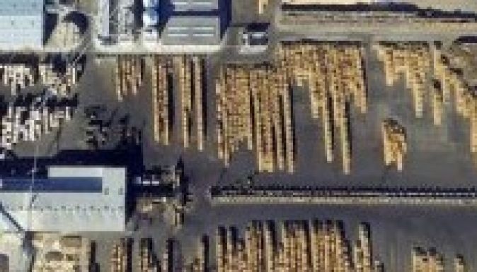 A Schweighofer vásárolja fel a romániai fa 15 százalékát