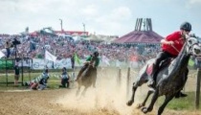 Lovasiskola és lovassportszervezői szak indul Szentgyörgyön