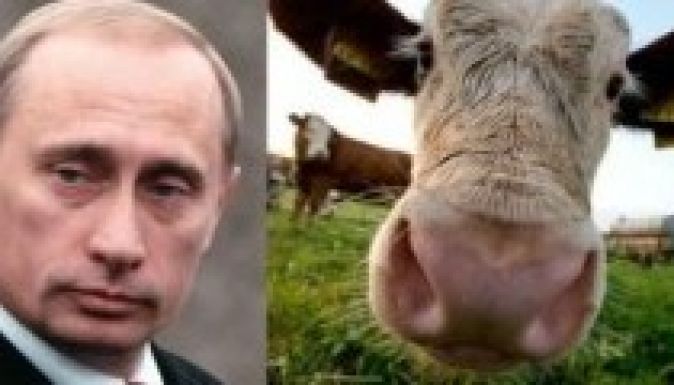 Nem importál román marhahúst Oroszország