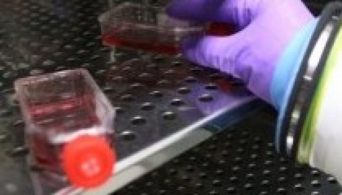 Újabb Ebola-gyanús beteg Afrikán kívül