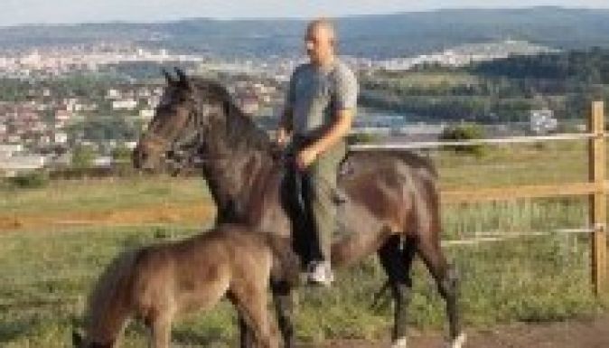 Magyar Napok: végre Kolozsváron is lesz lovasnap