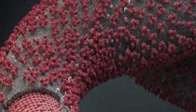 Hosszabb távú Ebola-ellenes stratégiát fogadott el a WHO