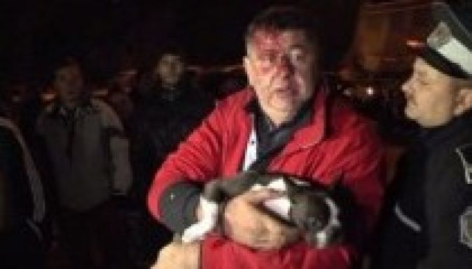 Balesetet okozott a képviselő, majd elbújt a bokorban (VIDEÓ)