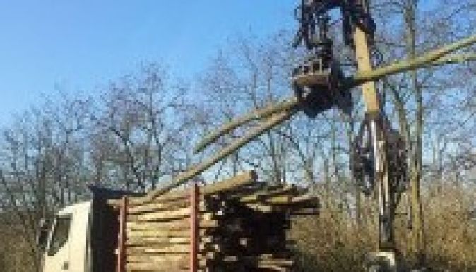 Az erdőradar hasznos, de még csiszolatlan rendszernek bizonyul