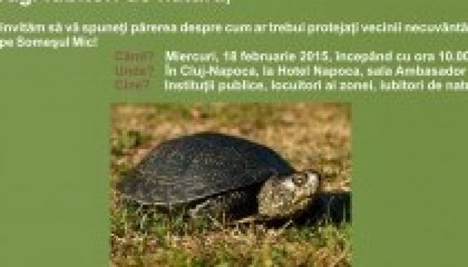 Közvitát szervezek a Kis-Szamos védett terület kezelési tervéről