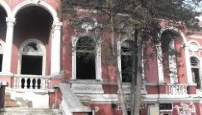 Közhasznúvá nyilvánítanák a vásárhelyi Aranykakast