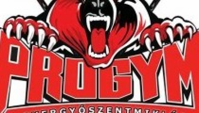 Megyei tanácsi levél a gyergyói szurkolókért