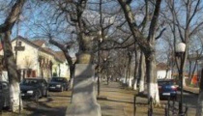 A marosvásárhelyi vársétány fáit is kivágatná a polgármester