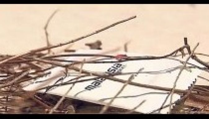 Az egy éve eltűnt maláj gépről sodródott partra nedves törlő?