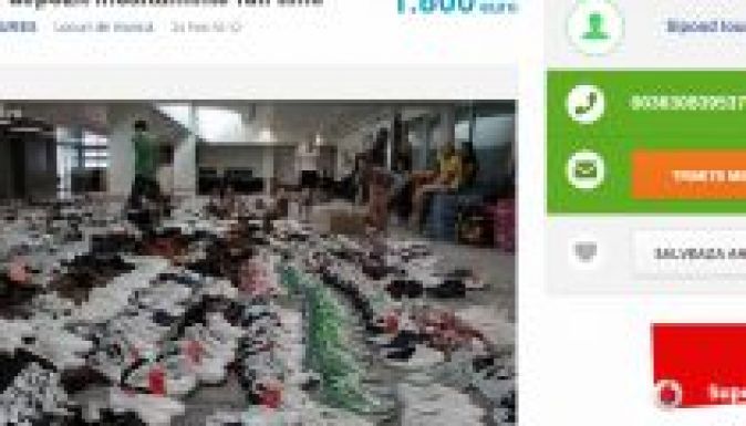 Magyarországi állásközvetítő veri át a székelyföldieket