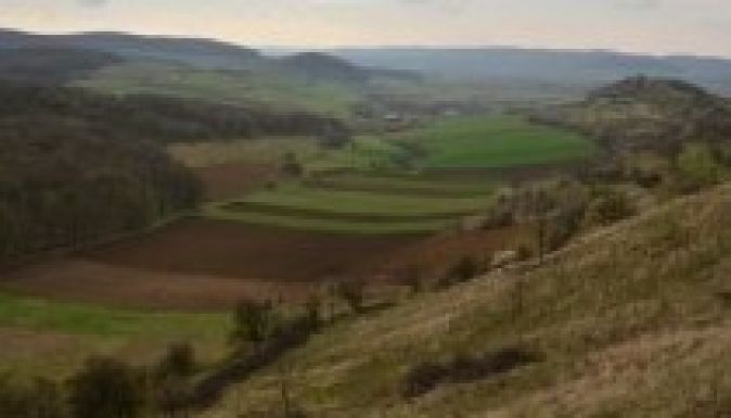 Tanácsadói projektet indít a Milvus Csoport