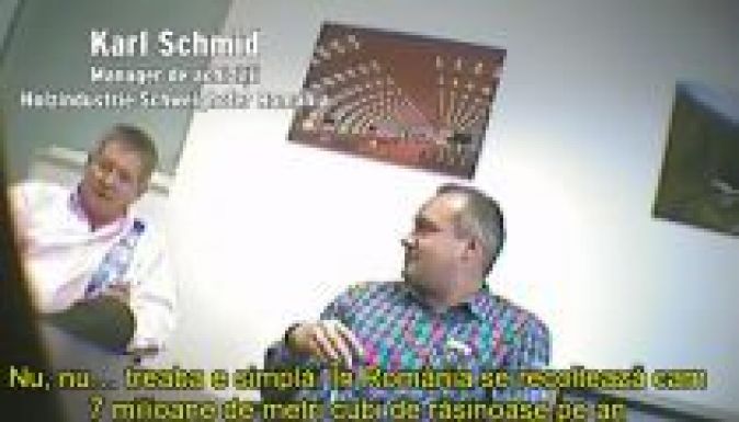 EIA: Illegálisan kivágott fákat vásárol a Schweighofer (VIDEÓ)