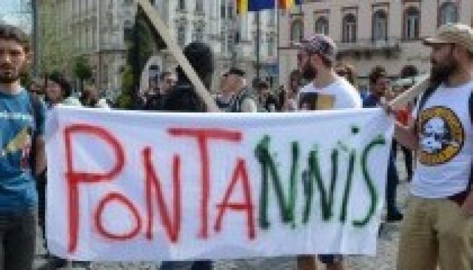 Erdőirtás: ötvenkét visszaélést fedeztek fel