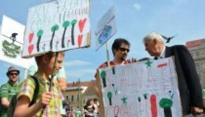 Tavaly 9 millió köbméter fát vágtak ki illegálisan