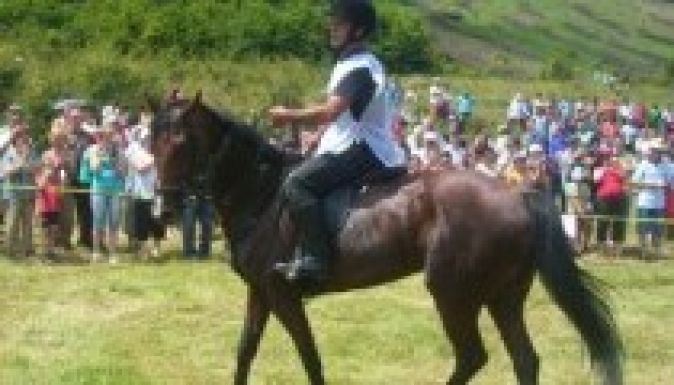 Szereted a lovakat? Akkor a III. Marosszéki lófuttatáson a helyed