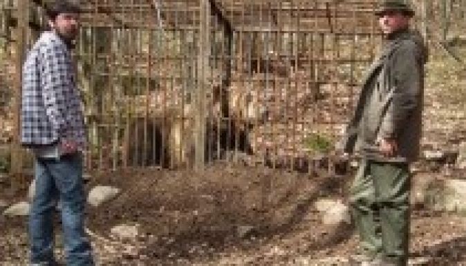 Két egyesület szövetkezett vadon élő állatok megmentéséért