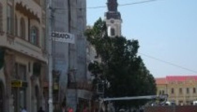 Kivágták a főtéri tölgyeket Nagyváradon