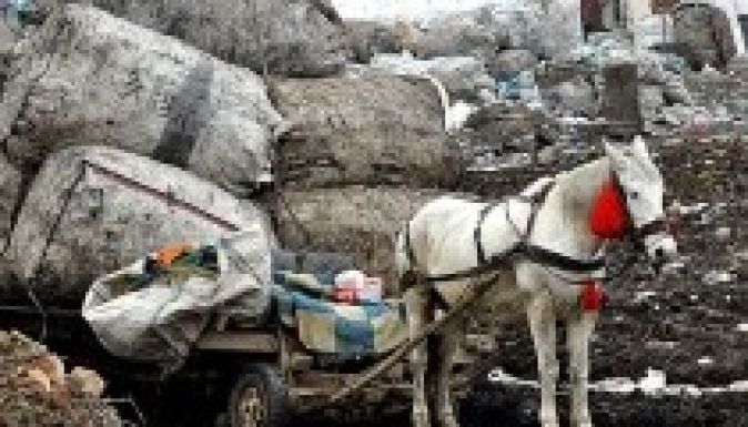 Kolozsvár Bukaresttől kér segítséget szemétügyben