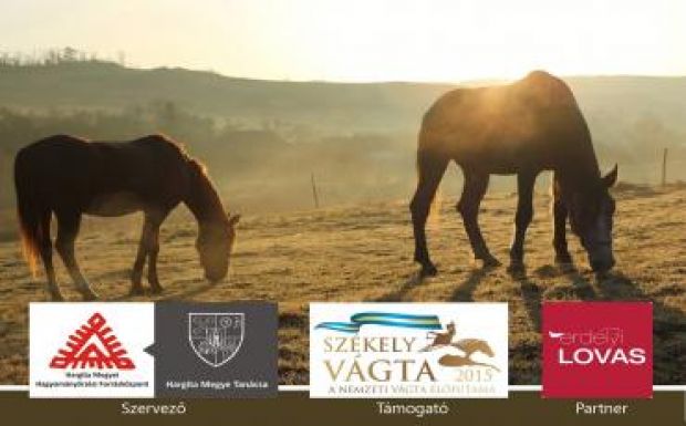 A Forrásközpont is jelen lesz a Székely Vágtán