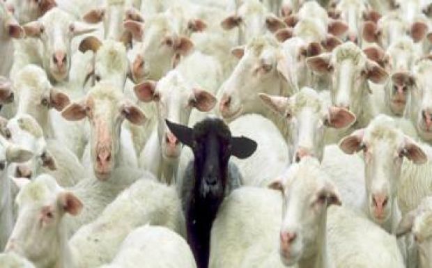 Ambrus Attila: Kisebbségek komplexusai