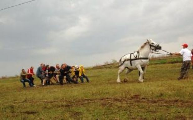 A második Kolozsvári Magyar Lovasnapokon jártunk
