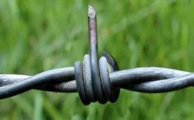 Krebsz János: Hol a határ?