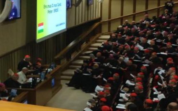 Ferenc pápa: az egyház ne ítélkezzen, a családok javát keresse