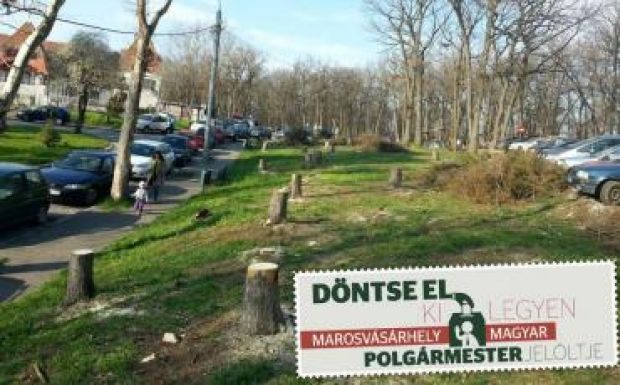 Mi legyen Marosvásárhely zöldövezeteivel? – az előválasztás jelöltjeit kérdeztük