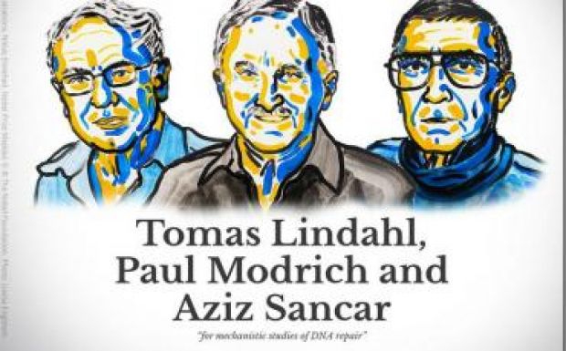 A DNS-javításhoz kapcsolódó kutatásokért hárman kapták a kémiai Nobel-díjat