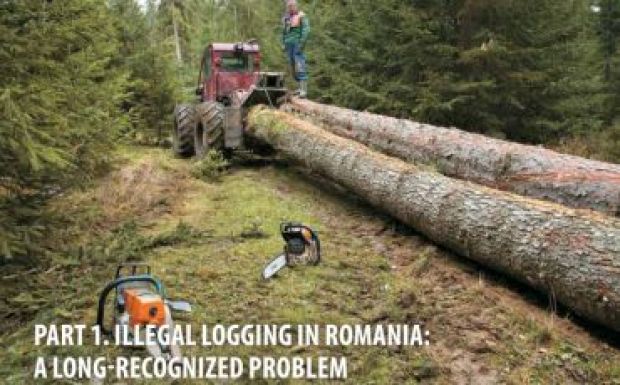 A The Guardian is arról ír, hogy lopják a fát Romániában