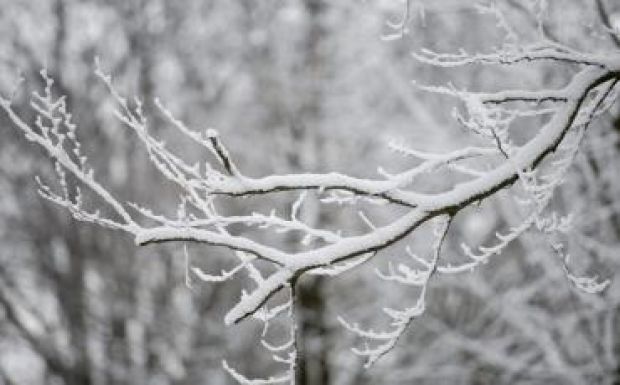 Havazott Magyarországon, télies idő lesz Románia hegyvidékein is