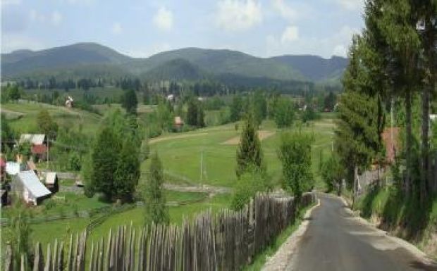 Demény Péter: Rugózás