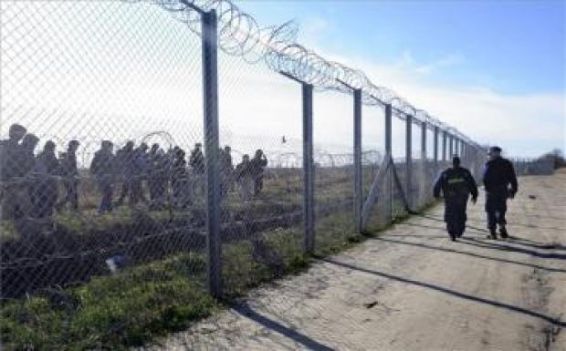 Egyre több a migráns a szerb-magyar határ térségében