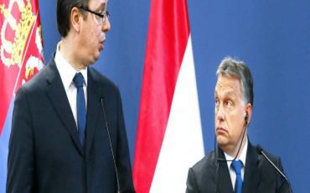 Gál Mária: Intelem a Vajdaságból 