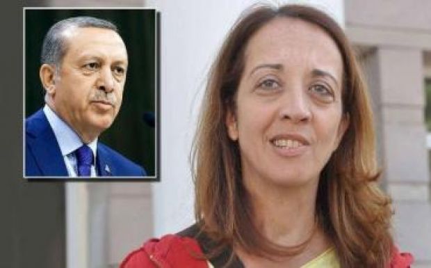 Hazaengedték Törökországból az Erdogant Twitteren sértegető újságírót