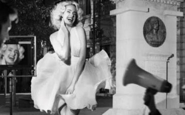 Transilvania Nemzetközi Filmfesztivál és egyéb állatfajták