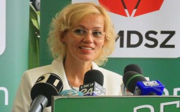 Fél tucat magyarellenes törvénytervezet van a parlament előtt