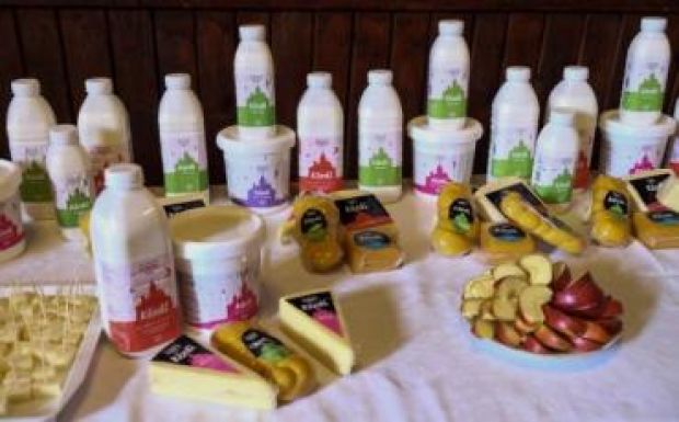 Székely válasz a nagy tejfeldolgozóknak: KÉZDI tej a helyi gazdáktól