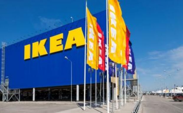 Több ezer hektár erdőt vásárolt az IKEA Romániában