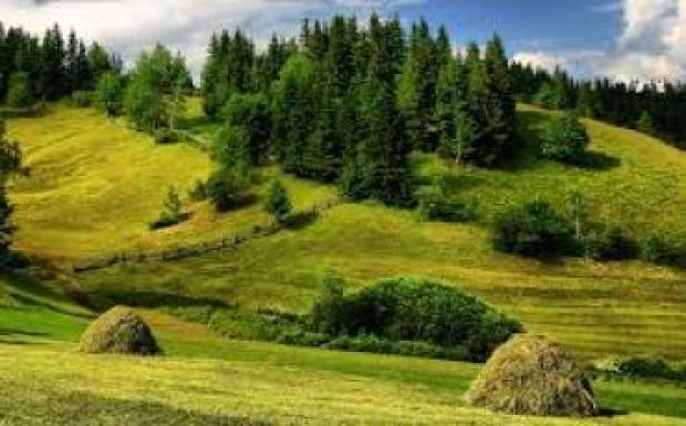 Krebsz János: A megértés szándéka