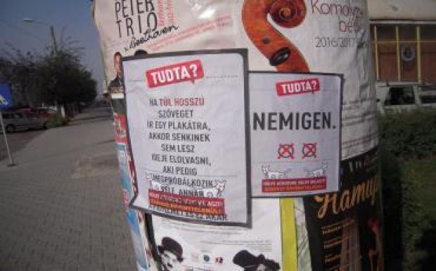 Erdélyben is megjelentek a Kétfarkú Kutyapárt plakátai