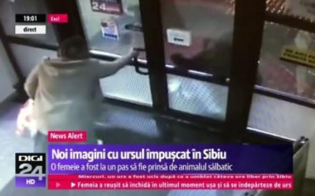 Emberre is támadt a Nagyszeben központjában bolyongó medve