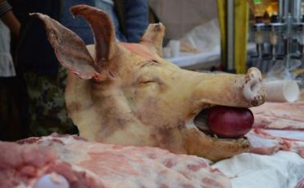 Szatmáron tartották az ország legnagyobb disznóvágását 